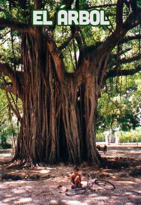 El árbol 